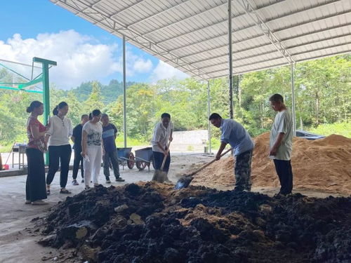 李金凤 技术服务向下扎根，茶叶发展向上腾飞